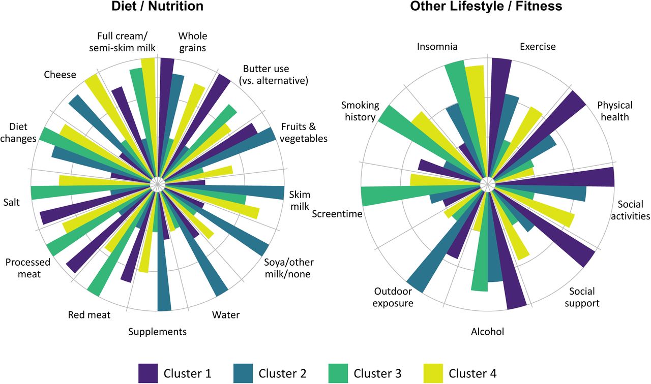 Sanford_2025_lifestyle_cluster_MDD.jpg