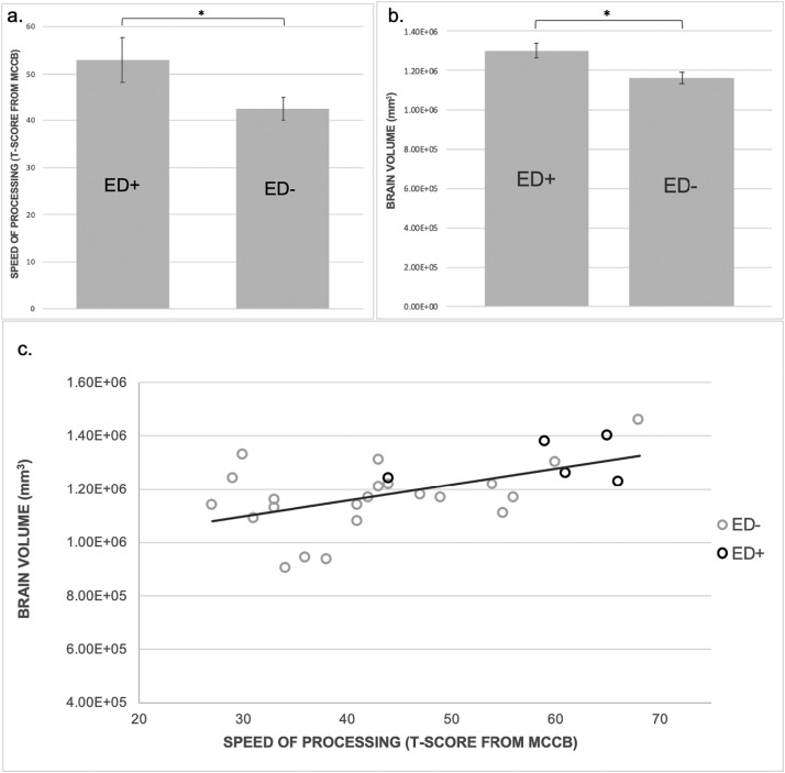 Sarac_et_al_2021_processing_speed.jpeg